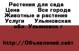 Растения для сада › Цена ­ 200 - Все города Животные и растения » Услуги   . Ульяновская обл.,Ульяновск г.